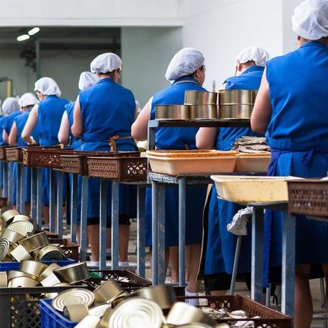 Fischfacharbeiterinnen La Conservera de Tarifa