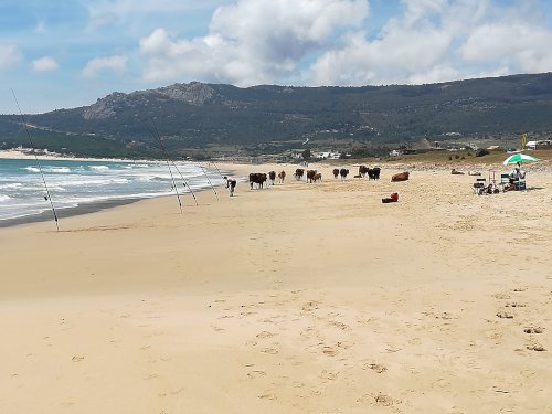 Bolonia Strand und Düne