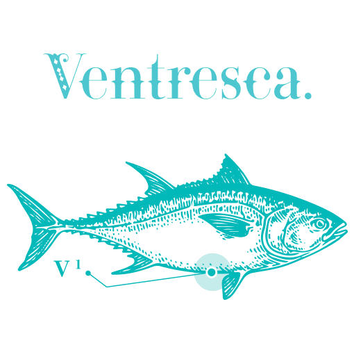 Ventresca Bauchfleisch vom roten Thunfisch in Olivenoel